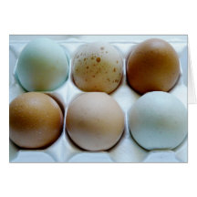 Mixed Eggs in a Carton Greeting Card