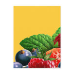 Mixed Fruit postcards