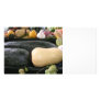 Mixed marrows photo cards