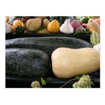 Mixed marrows post cards