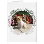 Mixed Terrier Breed Rescue Doggie Greeting Cards