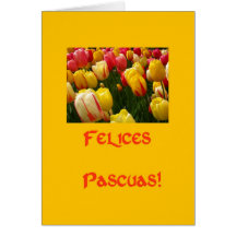 mixed tulips yellow easter greeting in spanish greeting card