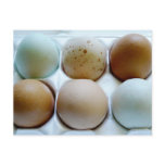 Mixed up Egg Carton