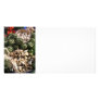 Mixed vegetables personalized photo card