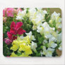 Mixture of Snapdragons Mouse Pads
