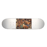 Miyamoto Musashi Painting Skate Deck
