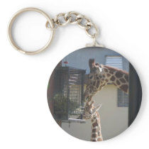 mmm...lunch keychains