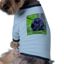 Mmmm Pet Clothes