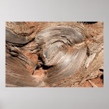 Moab, Utah Tree Stump Posters