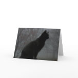 Moby in fog greeting cards
