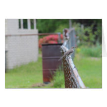 Mockingbird Greeting Card