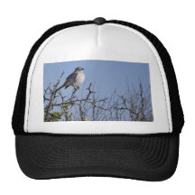 Mockingbird Hats