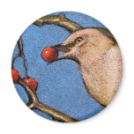 MOCKINGBIRD IN COLOR PENCIL magnets