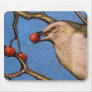 MOCKINGBIRD IN COLOR PENCIL