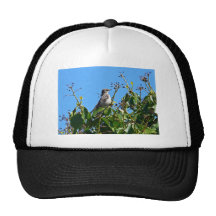 Mockingbird Mesh Hat