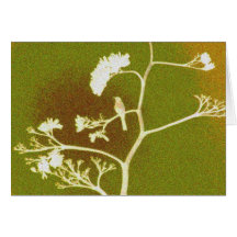 mockingbird  neg greeting card