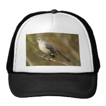Mockingbird Ornithology Mesh Hats