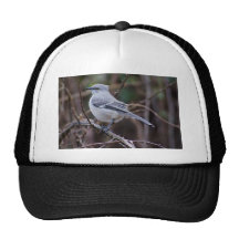 Mockingbird Ornithology Mesh Hats
