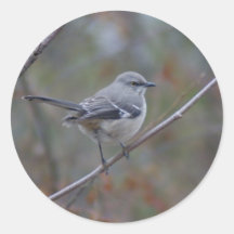 Mockingbird Ornithology Round Sticker