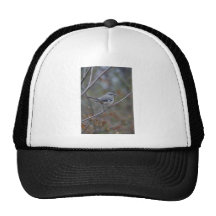 Mockingbird Ornithology Trucker Hats