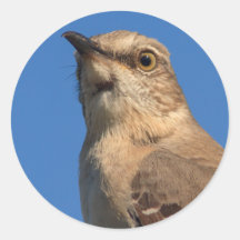 Mockingbird Portrait Round Sticker