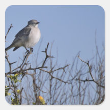 Mockingbird Sticker