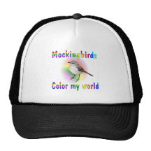 Mockingbirds Colour My World Hat