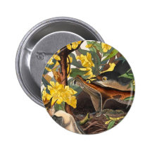 Mockingbirds, John James Audubon Pin