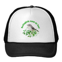 Mockingbirds warm my Heart Mesh Hat