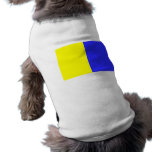 Modena, Italy pet clothing