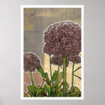 Modern Florals: Allium Blossom posters