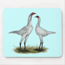 Modern Game Bantam:  Self Blue Mousepads