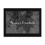 Modern Season's Greeting - Pocket Calendar