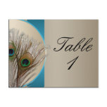 Modern Taupe Aqua Peacock Feather Table Number Post Cards