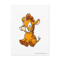 Moehog Orange postcards