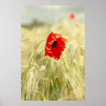 Mohn im Kornfeld Posters