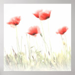 Mohn Poster