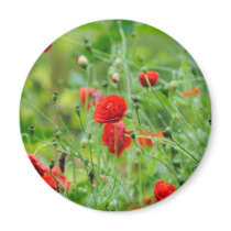Mohnblume Kühlschrankmagnet