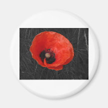 Mohnblume red poppy Photo Foto Fridge Magnets