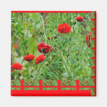 Mohnblumen Kühlschrankmagnete