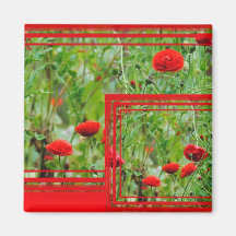 Mohnblumen Magnets