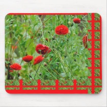 Mohnblumen Mousepad
