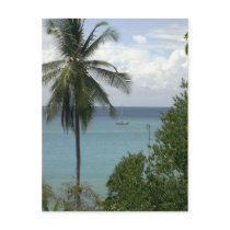 Moira at anchor, Bahia Drake, Costa Rica Postcard