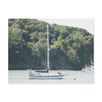 Moira on mooring, Angel Island, San Francisco Postcard