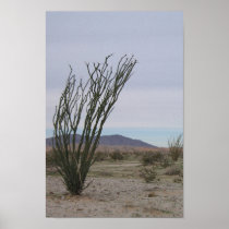 Mojave Desert Print