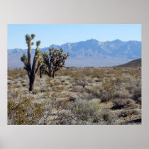 Mojave Desert scene 03 Posters