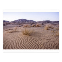 Mojave Dunes Post Cards