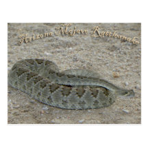 mojave postcard