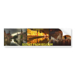 MOJI A OKUBULE ART WORK 2011 bumper stickers
