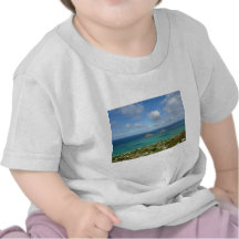 Moks off the shore of Lanikai Tee Shirts